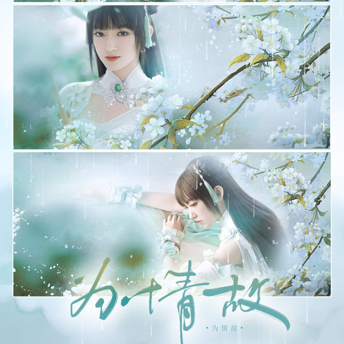 程潇应援曲《为情故》
