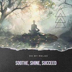 Cover of Soothe, Shine, Succeed