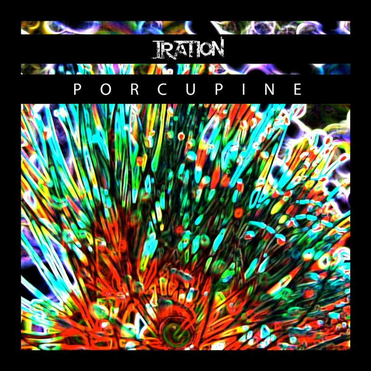 Album cover of Porcupine