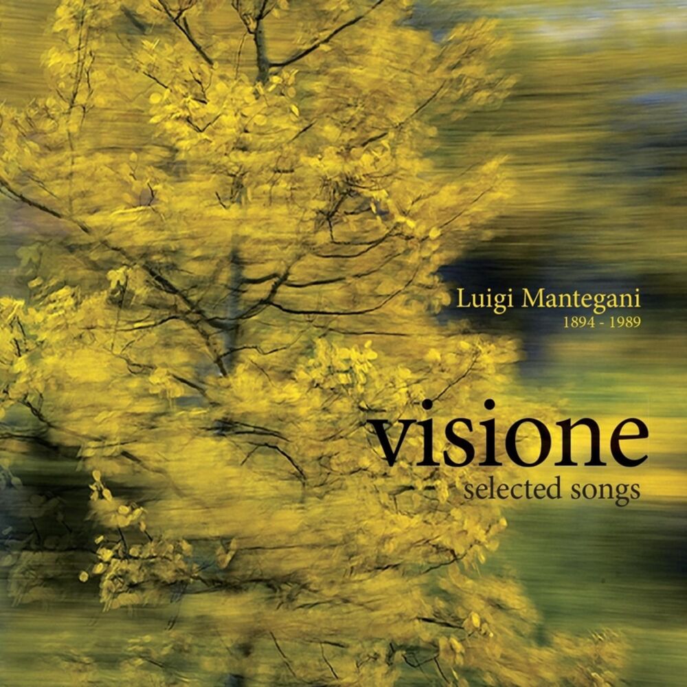 Picture of Luigi Mantegani: Visione