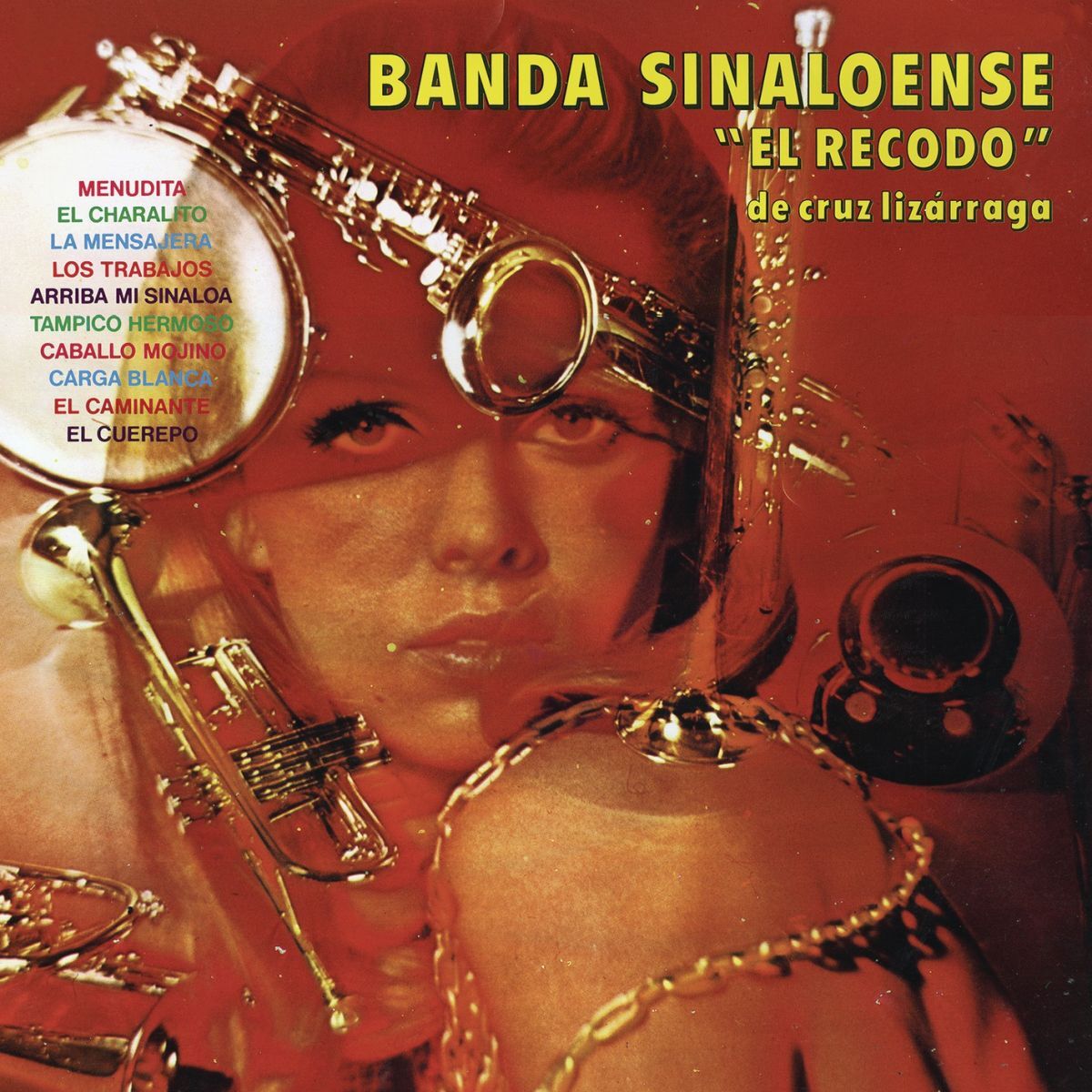 Album cover of Banda Sinaloense el Recodo de Cruz Lizarraga