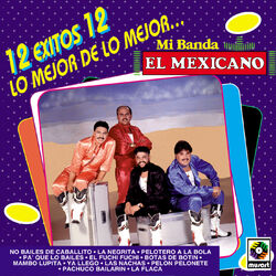 Cover of 12 Éxitos: Lo Mejor De Lo Mejor...
