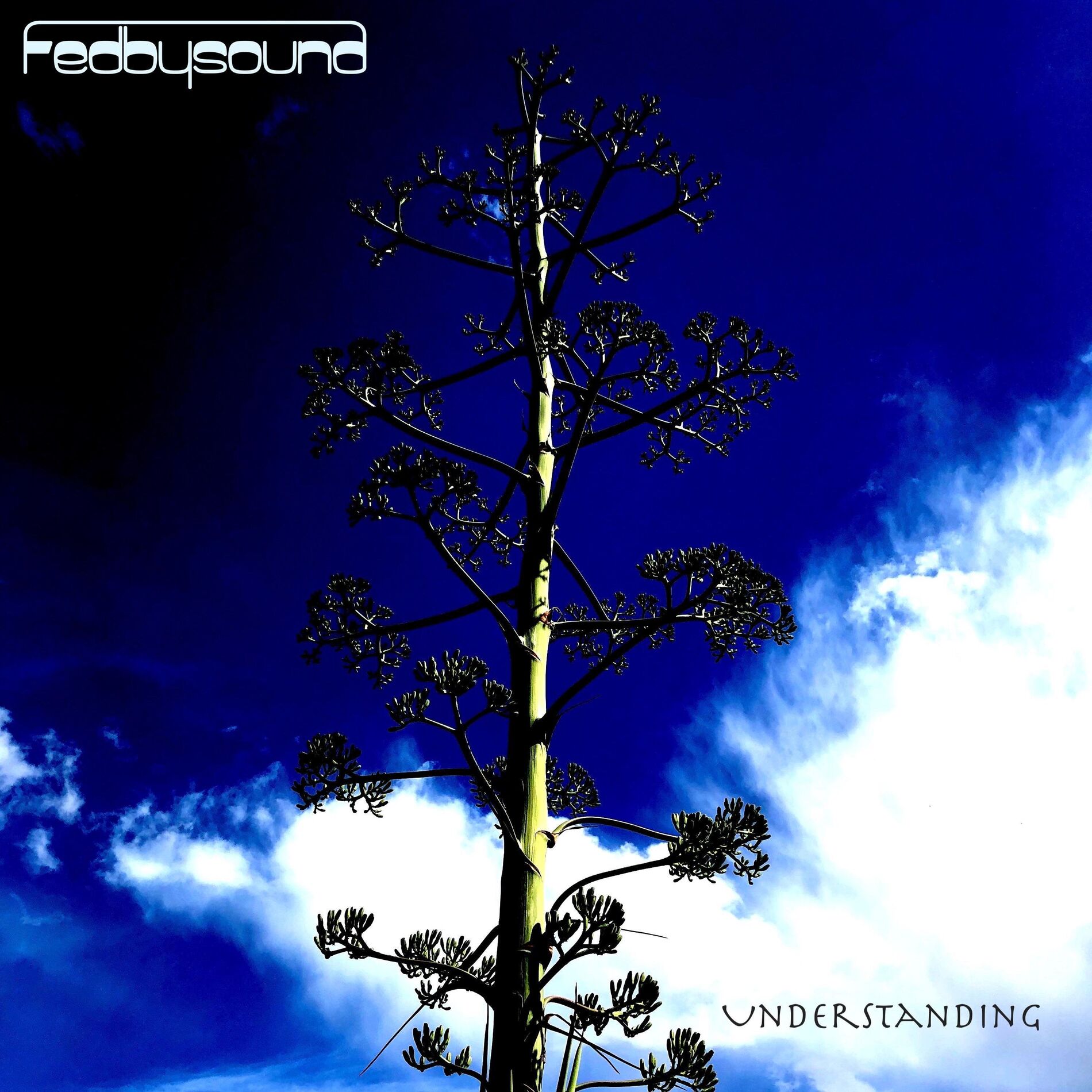 Album cover of Understanding