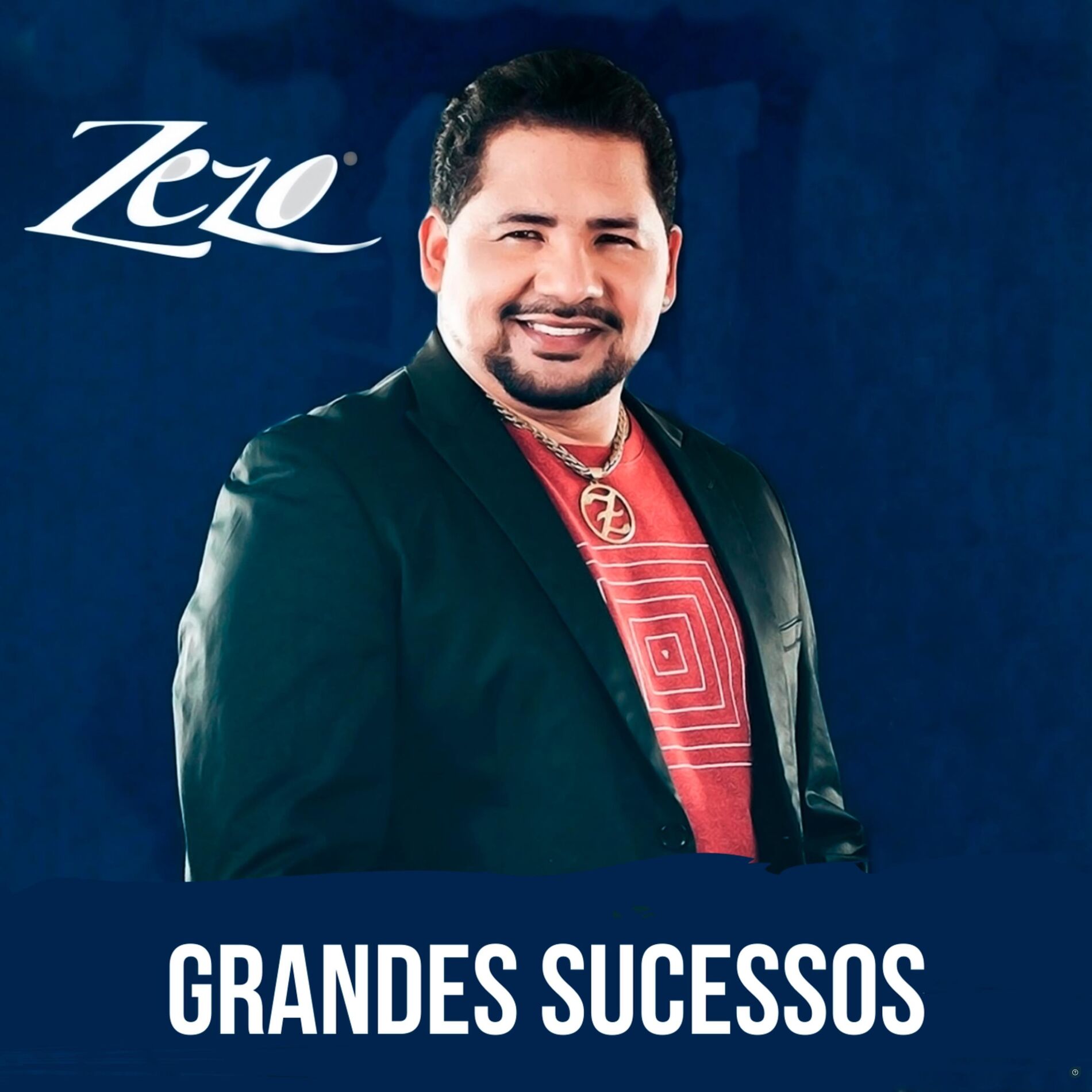Album cover of Grandes Sucessos