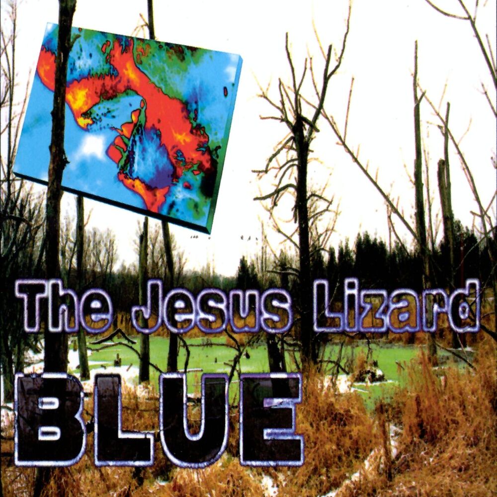 Picture of Blue