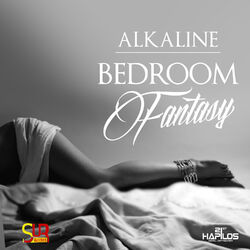 Cover of Bedroom Fantasy