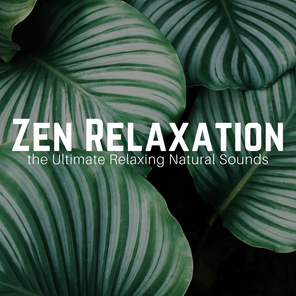 Picture of Zen Relaxation: the Ultimate Relaxing Natural Sounds for Meditation, Peace of Mind and Stress