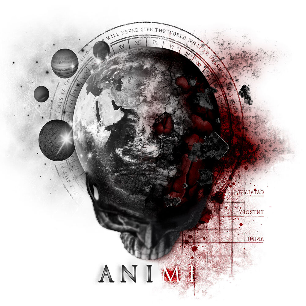 Picture of Animi