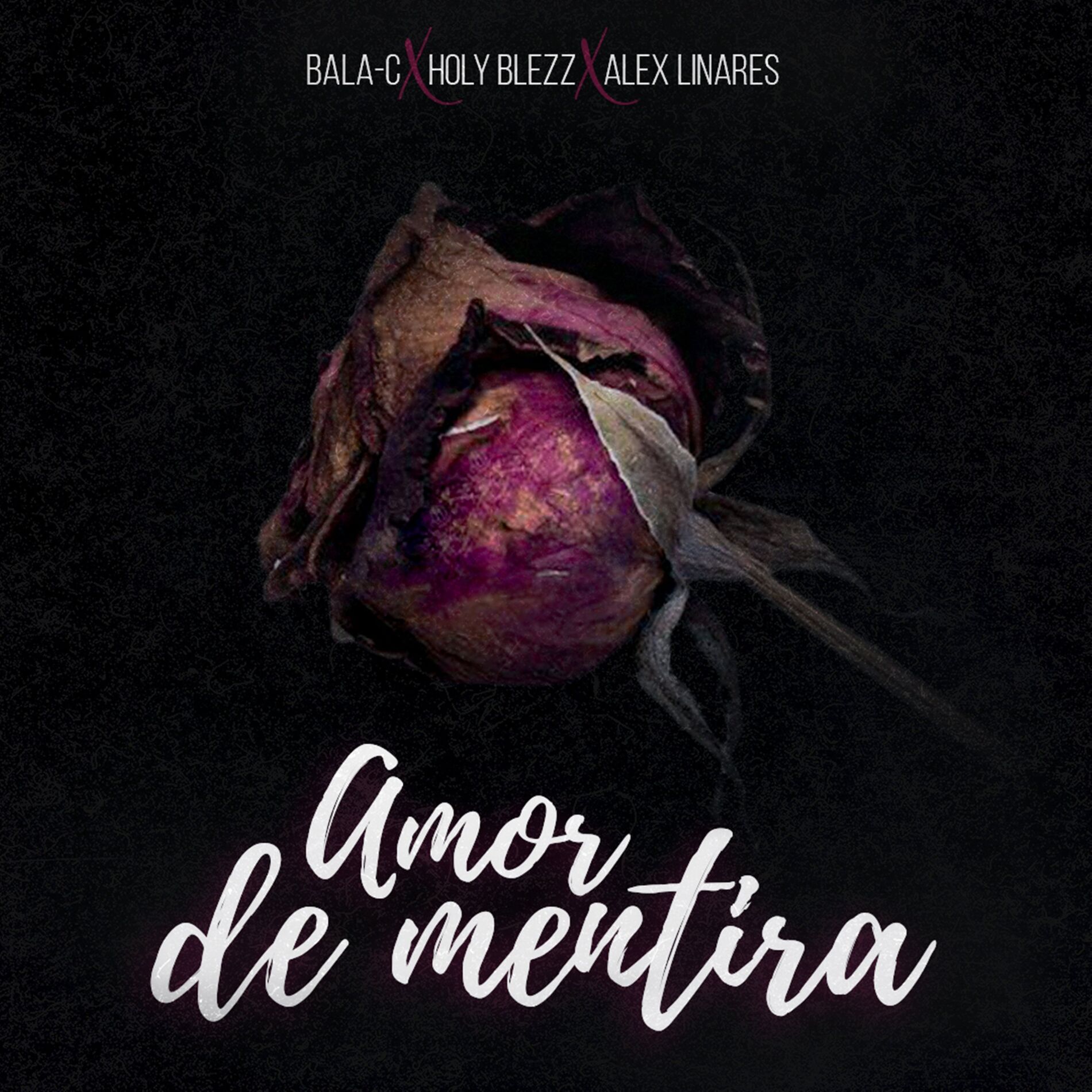 Album cover of Amor De Mentira