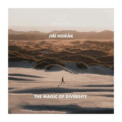 Cover of The Magic of Diversity