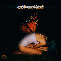 Cover of Metamorphosis