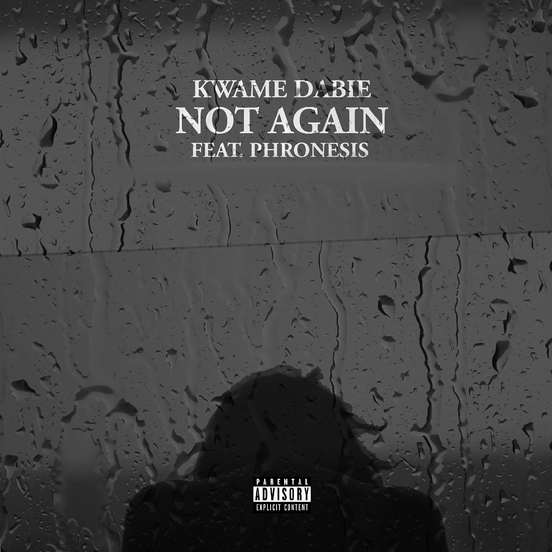 Album cover of Not Again