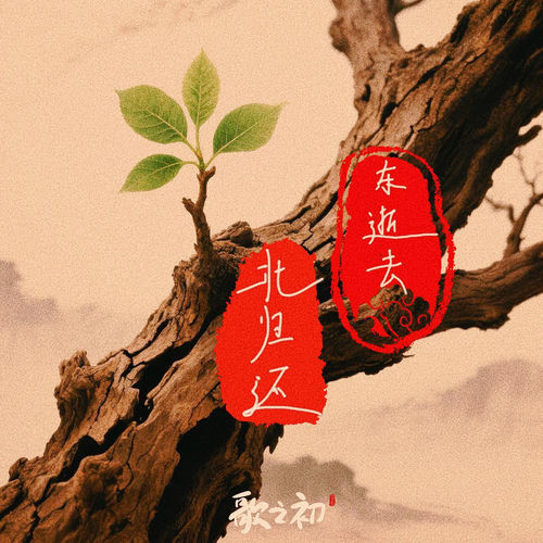 东逝去北归还