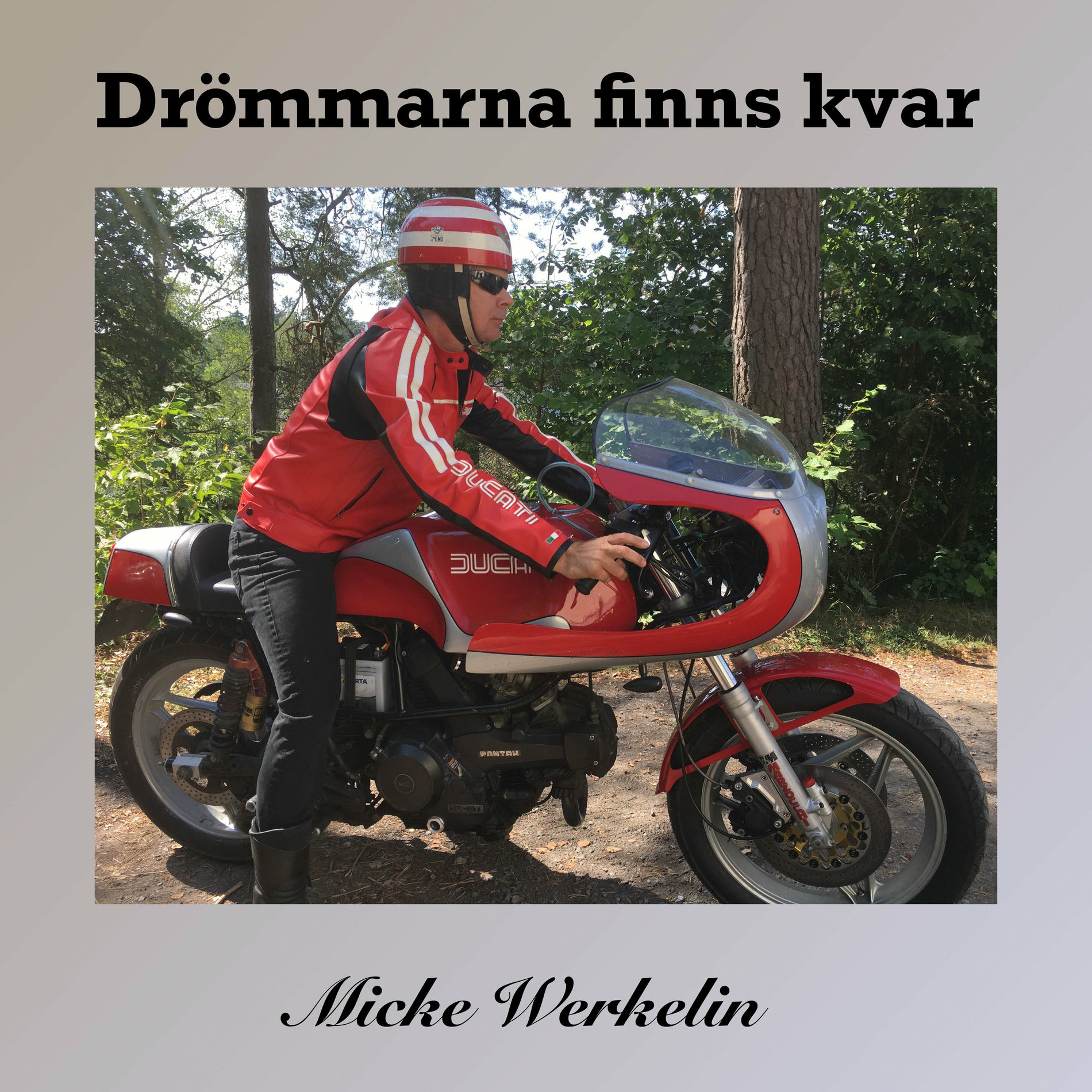 Album cover of Drömmarna finns kvar