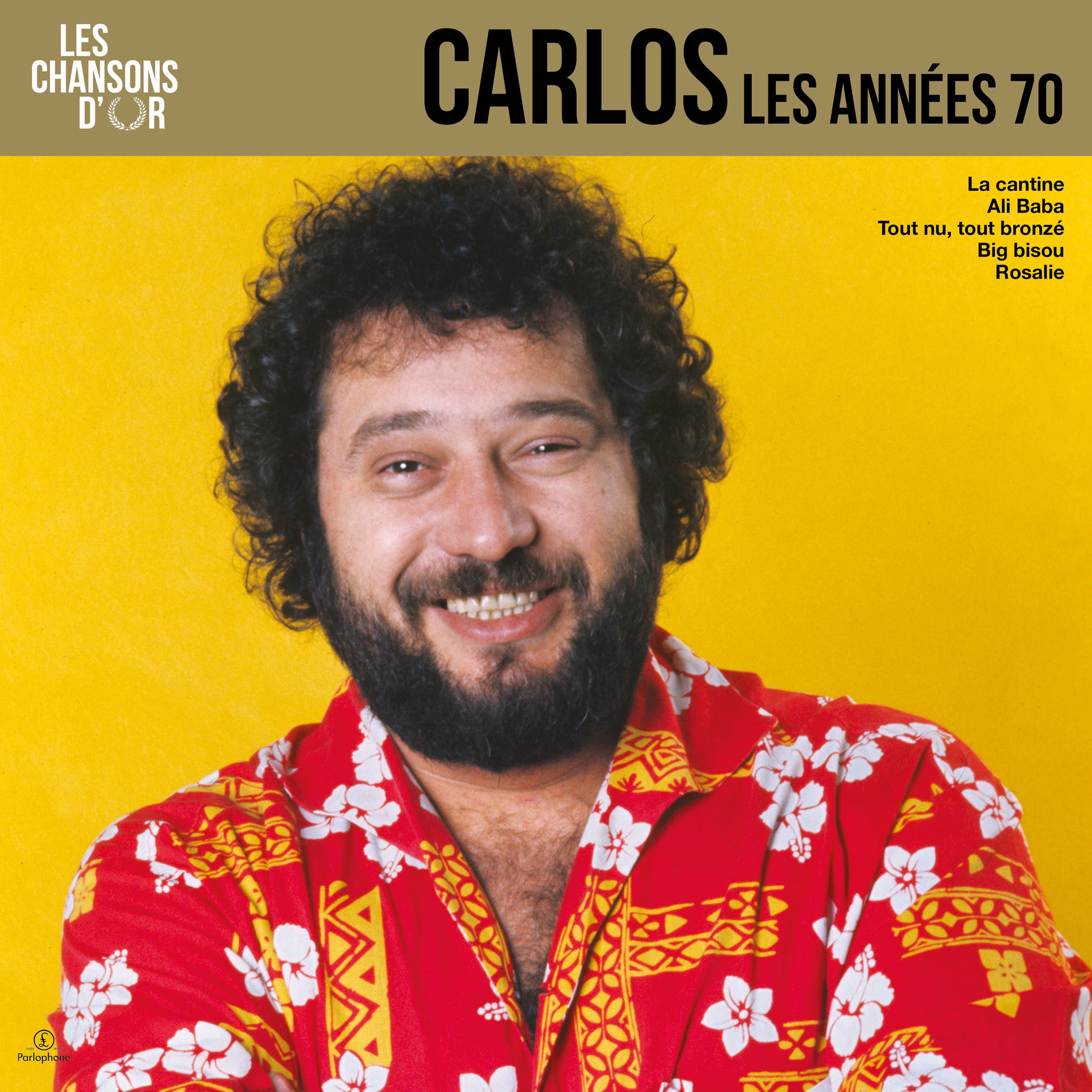 Album cover of Chansons d'or 70's