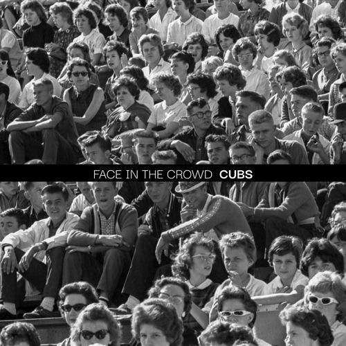 Face in the Crowd