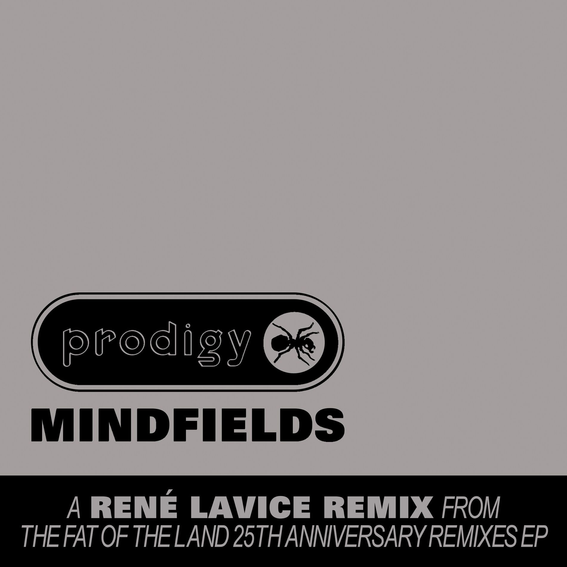 Album cover of Mindfields