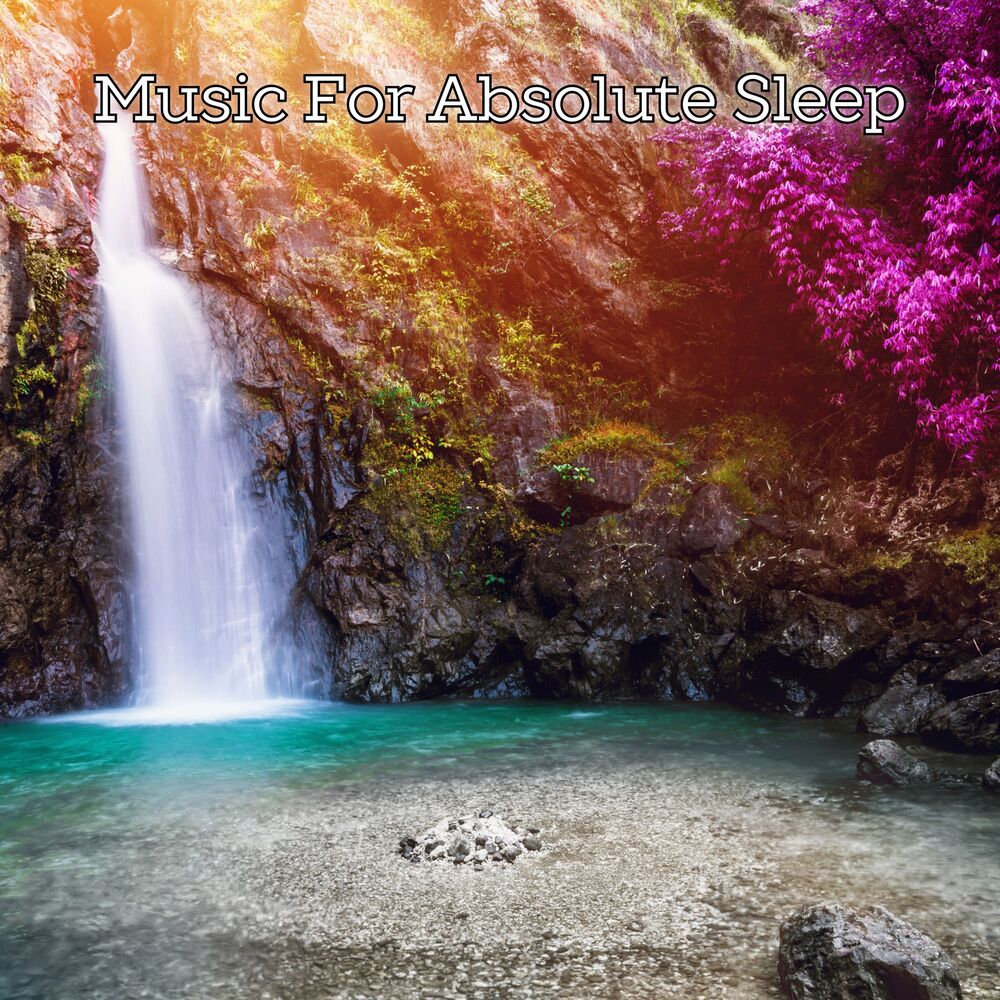 Picture of Sleeping Time Musica No Nature Just Healing and Destress