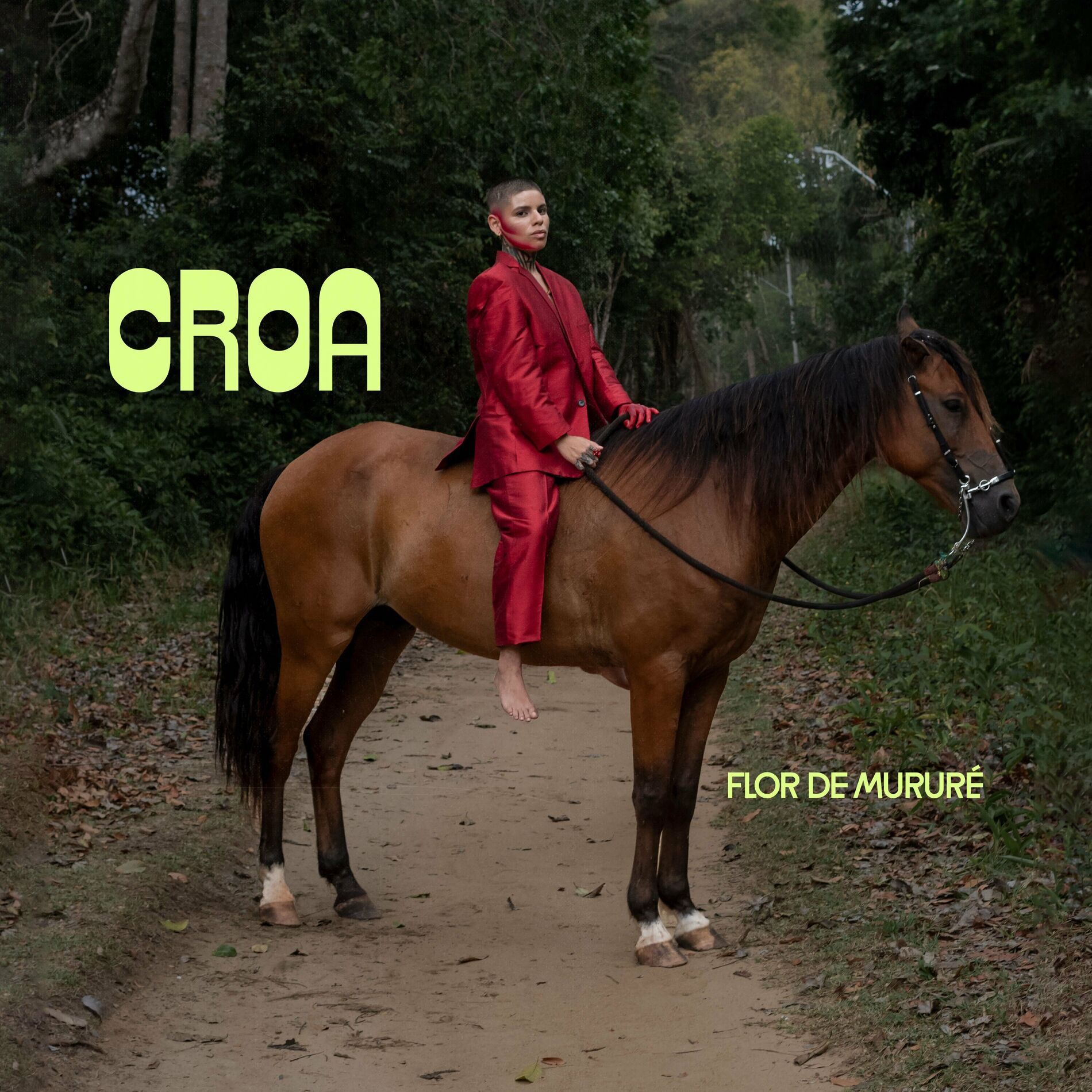 Album cover of Dona Mulambo