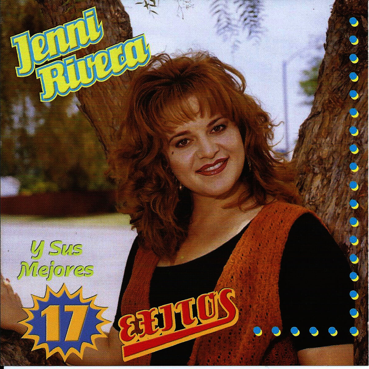 Album cover of 17 Exitos
