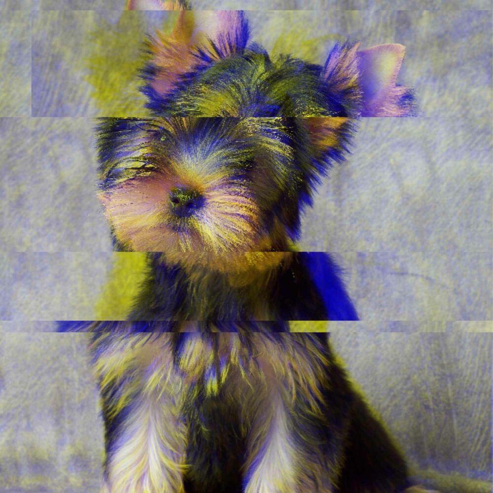 Picture of Trio Jazz - Background for Stress Free Doggos
