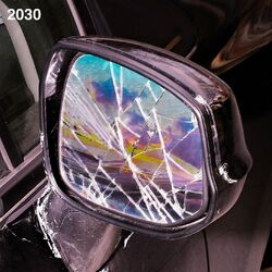 Cover of 2030