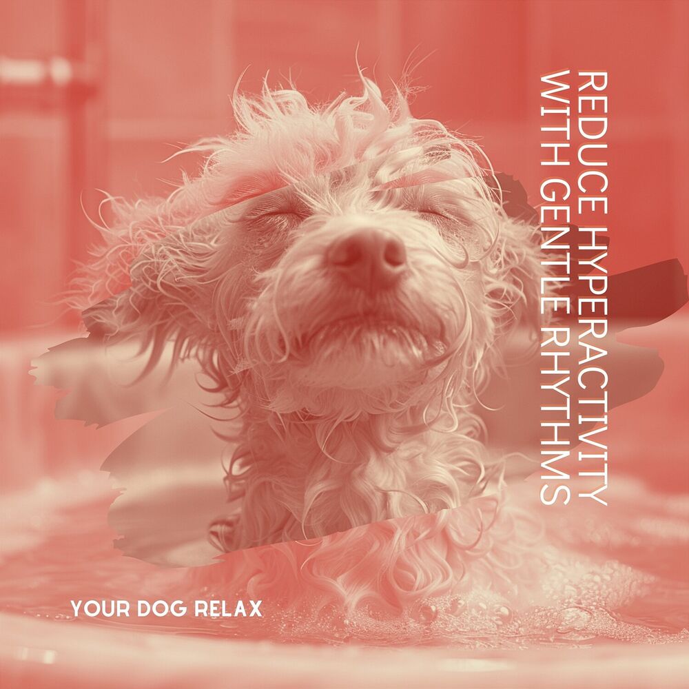 Picture of Reduce Hyperactivity with Gentle Rhythms