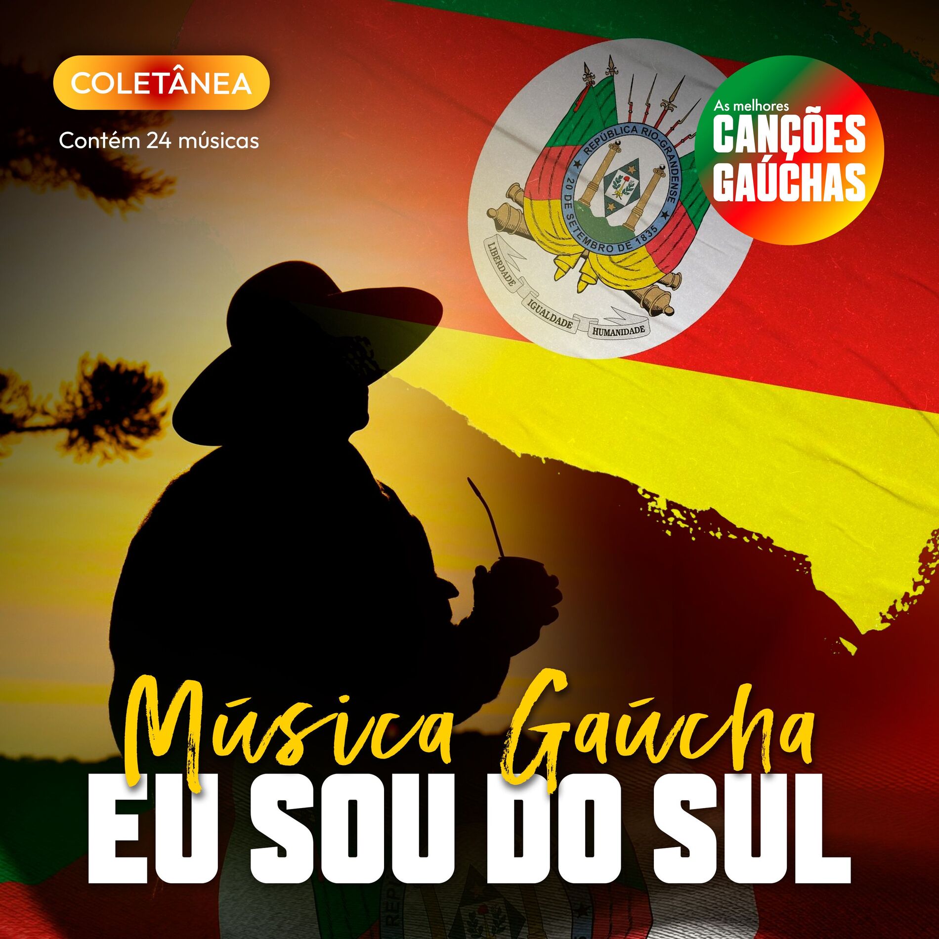 Album cover of MÚSICA GAÚCHA EU SOU DO SUL