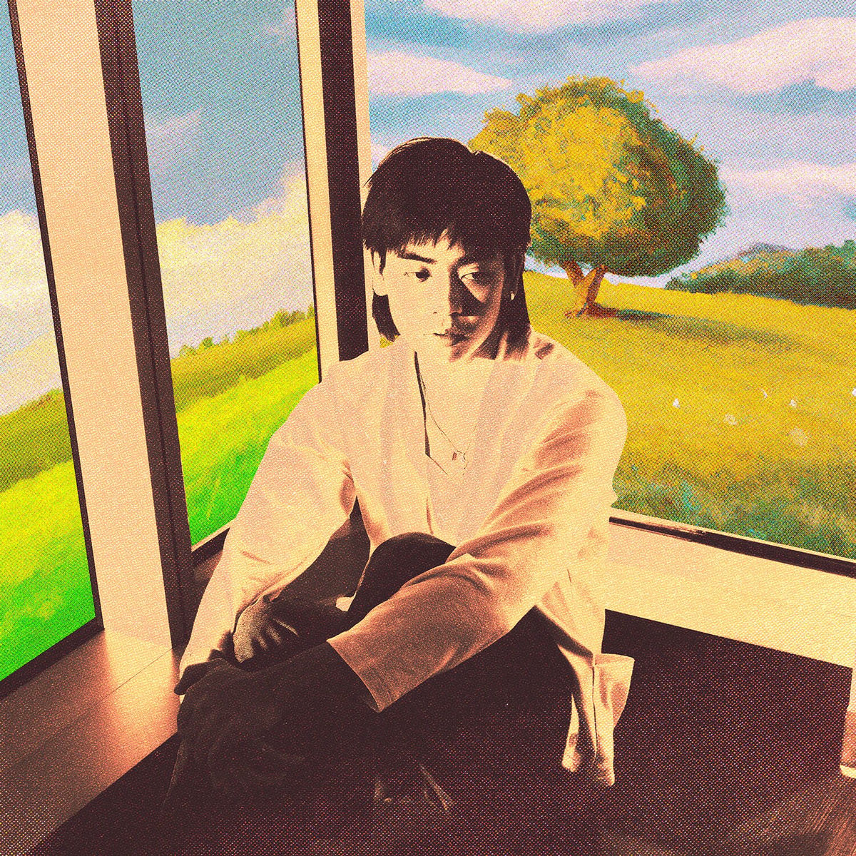 Album cover of Apples
