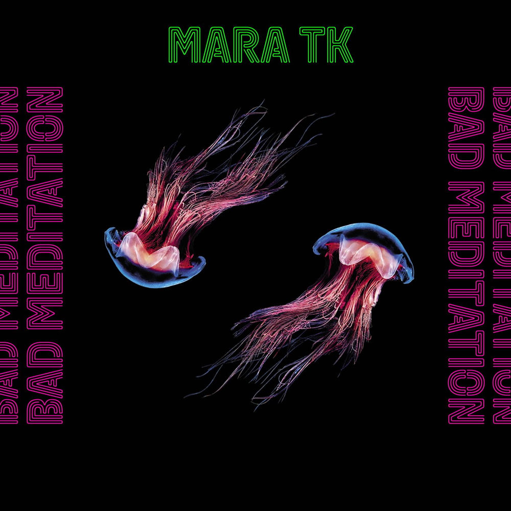 Pochette du titre Bad Meditation