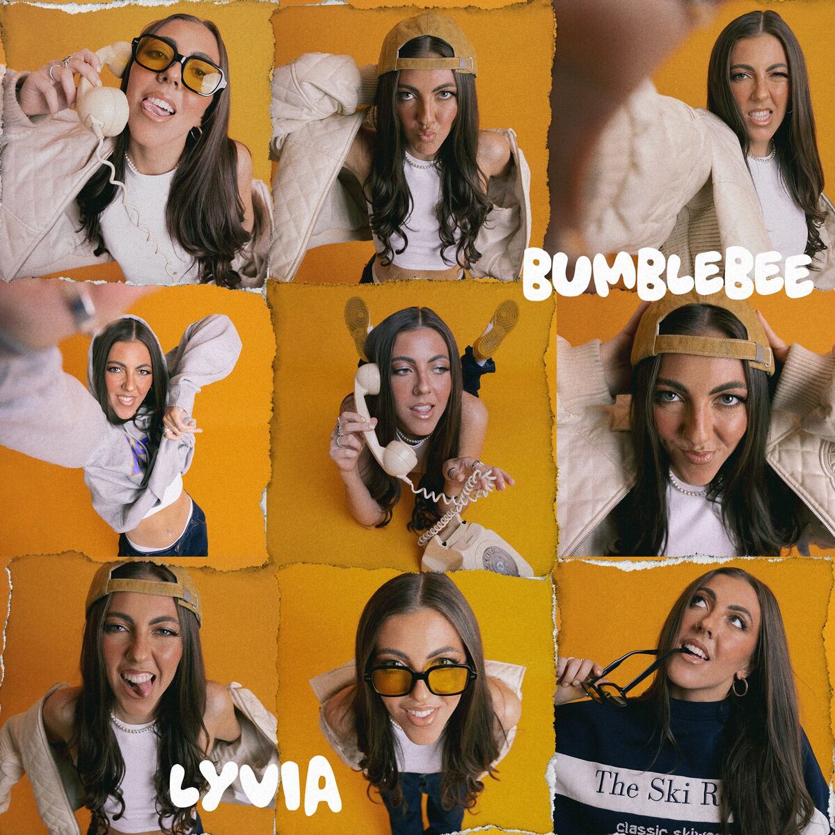 Album cover of Bumblebee