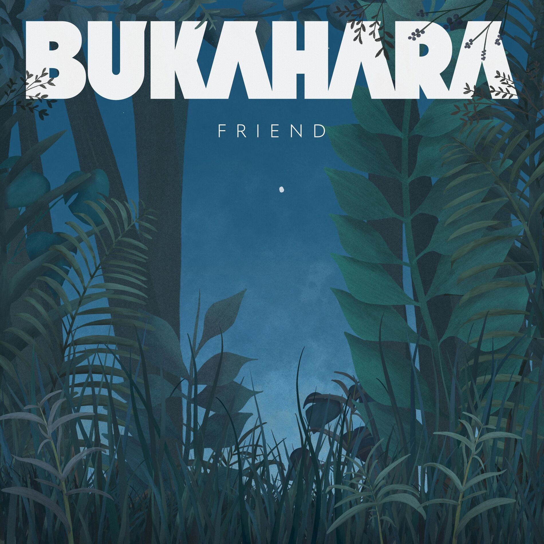 Album cover of Friend