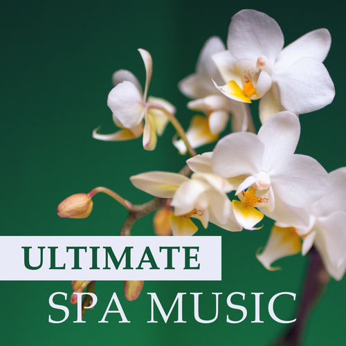 Spa Moments