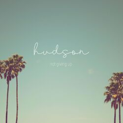 Cover of Not Giving Up