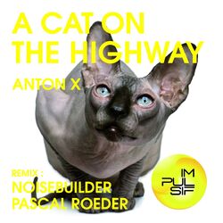 Cover of A Cat On the Highway