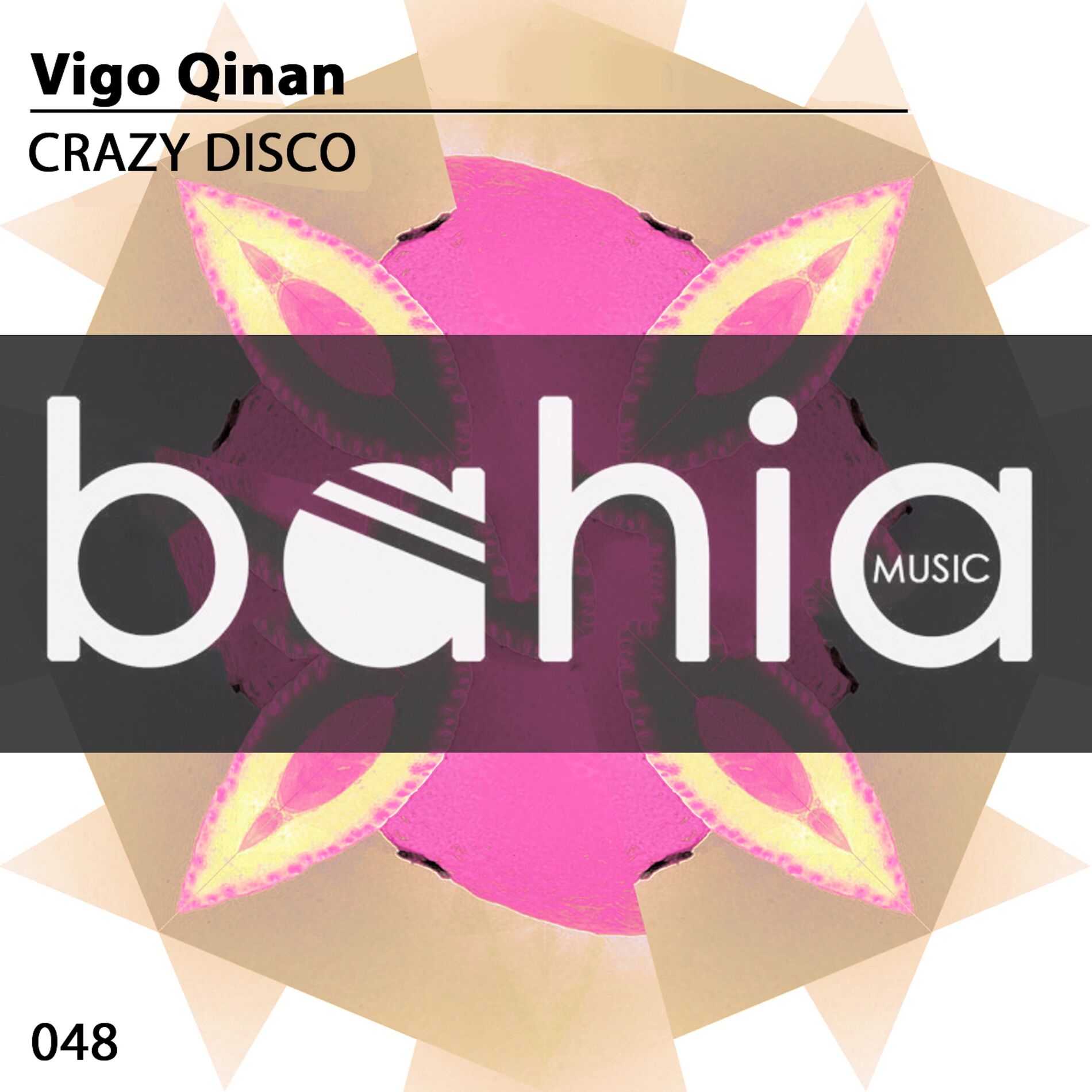 Album cover of Crazy Disco