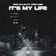 It's My Life by Sam Allan album cover