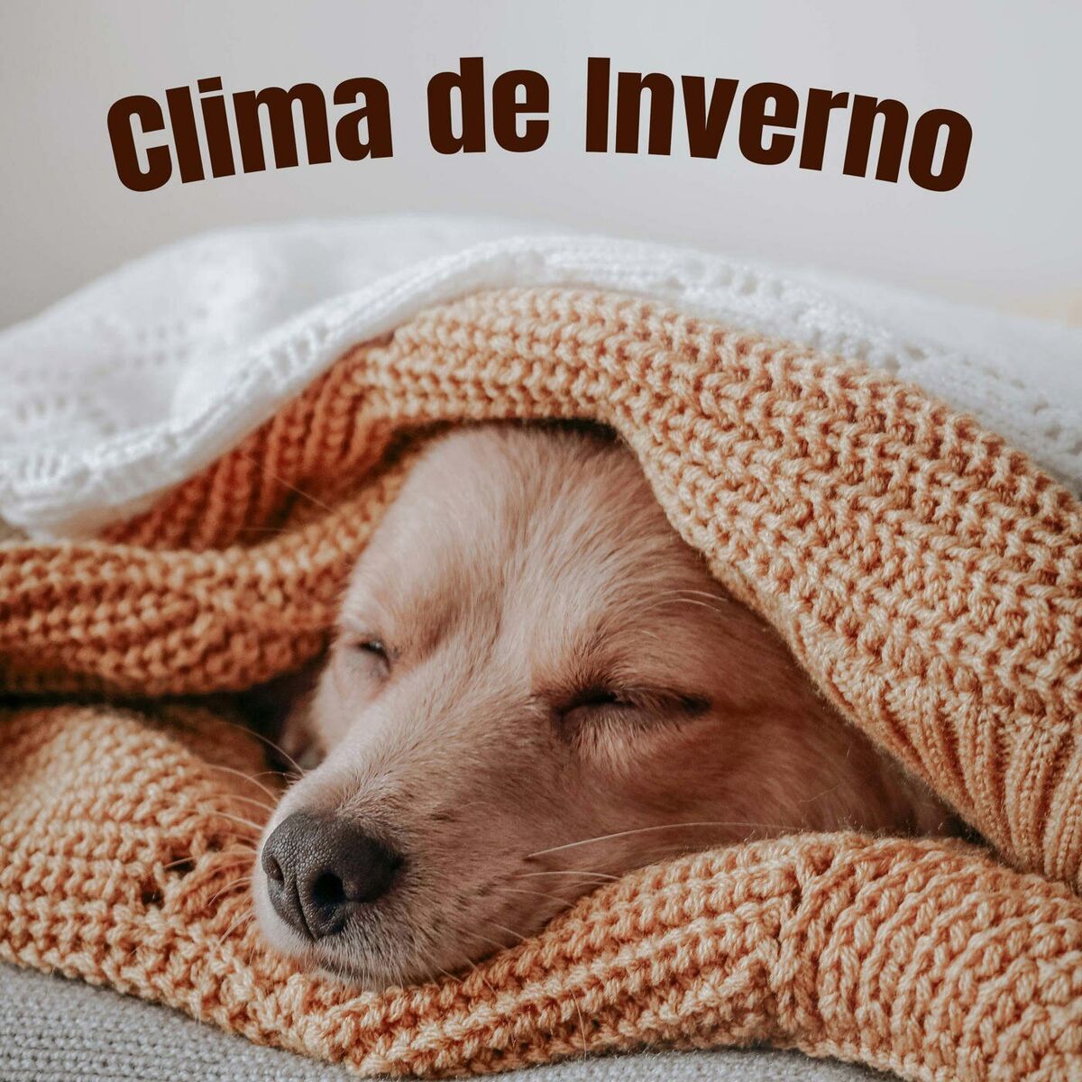 Album cover of Clima de Inverno