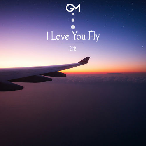 I Love You Fly