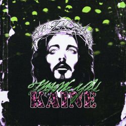 Cover of Thank You Kaine