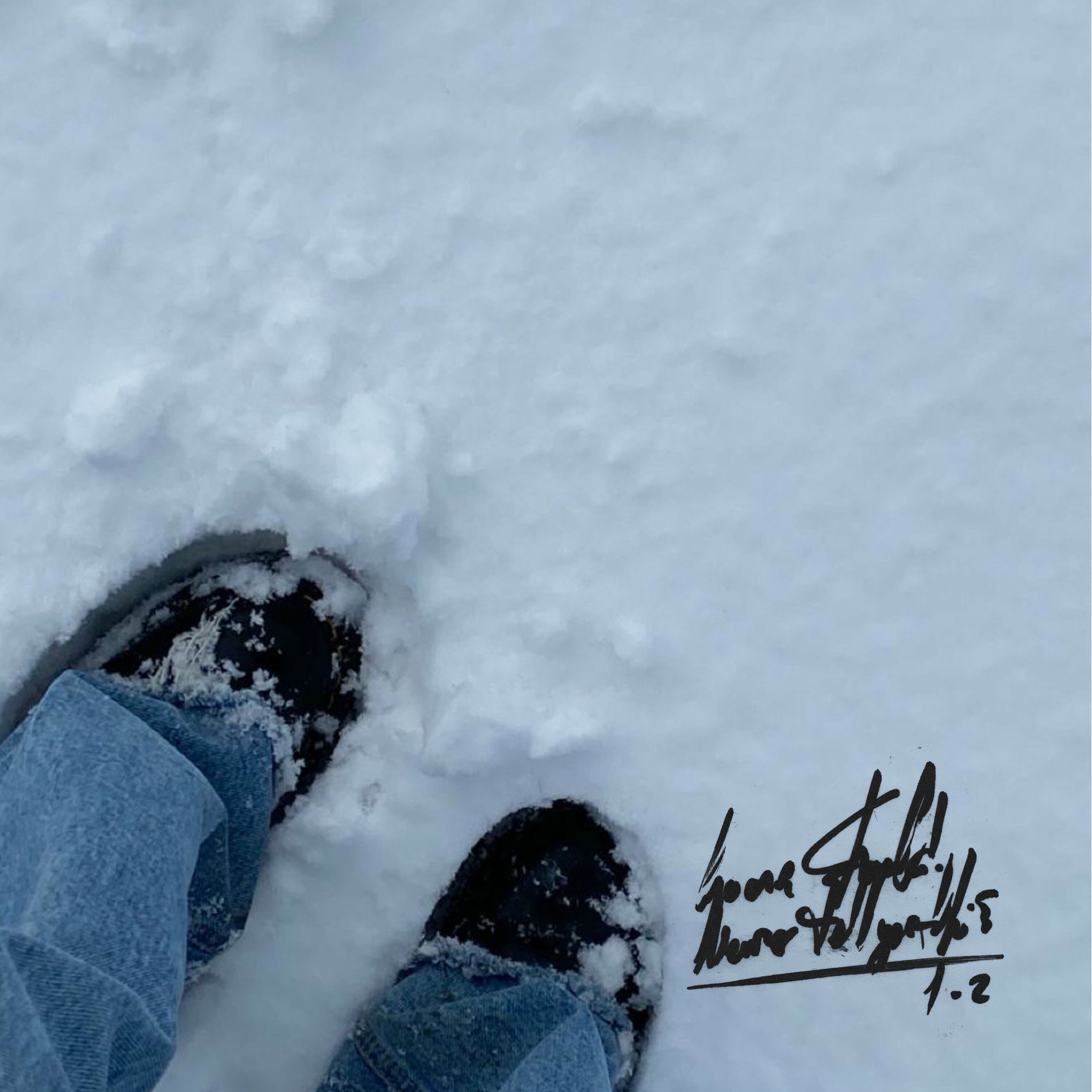 Album cover of Winter##