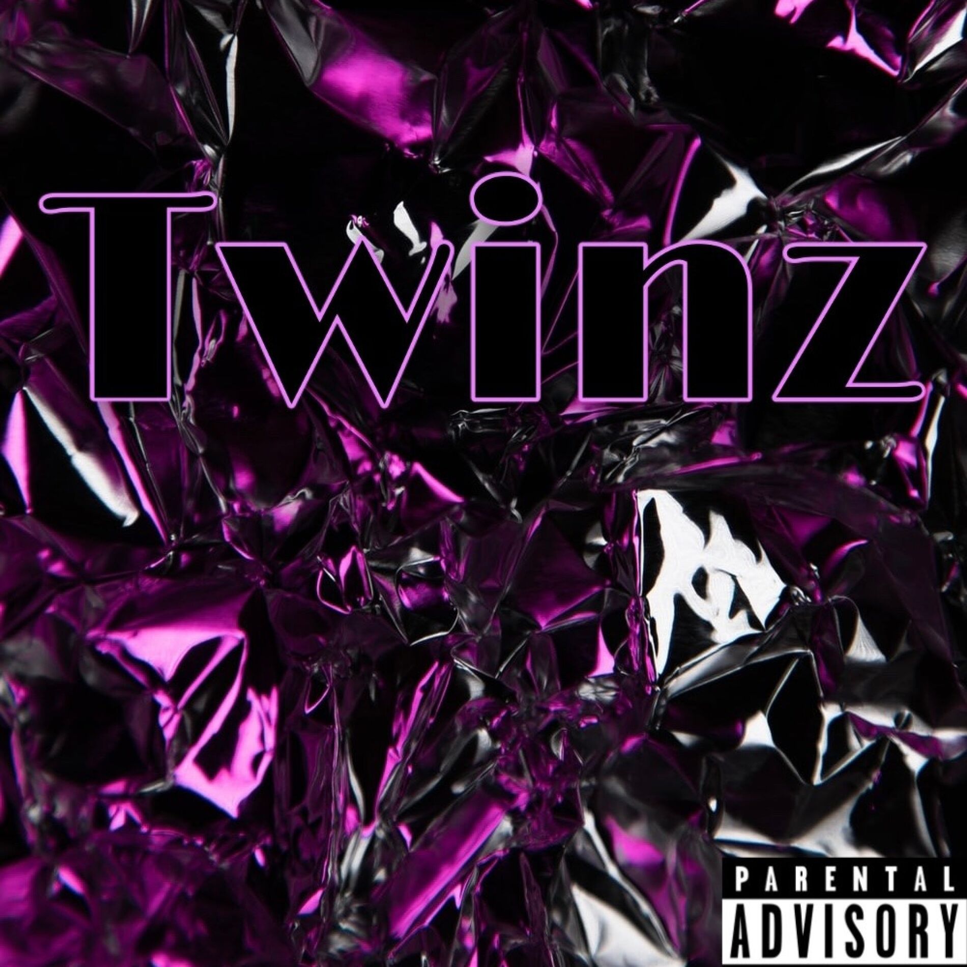 Album cover of Twinz