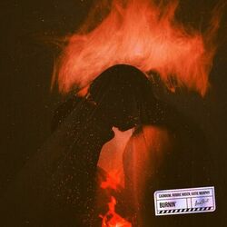 Cover of Burnin'