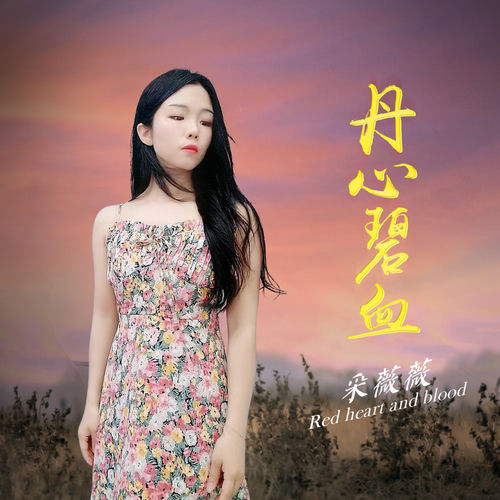丹心碧血