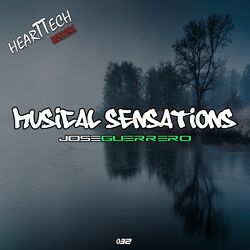 Cover of Musical Sensations