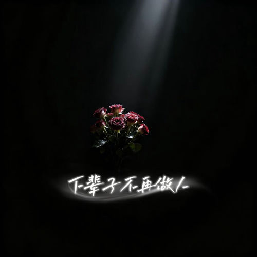 下辈子不再做人