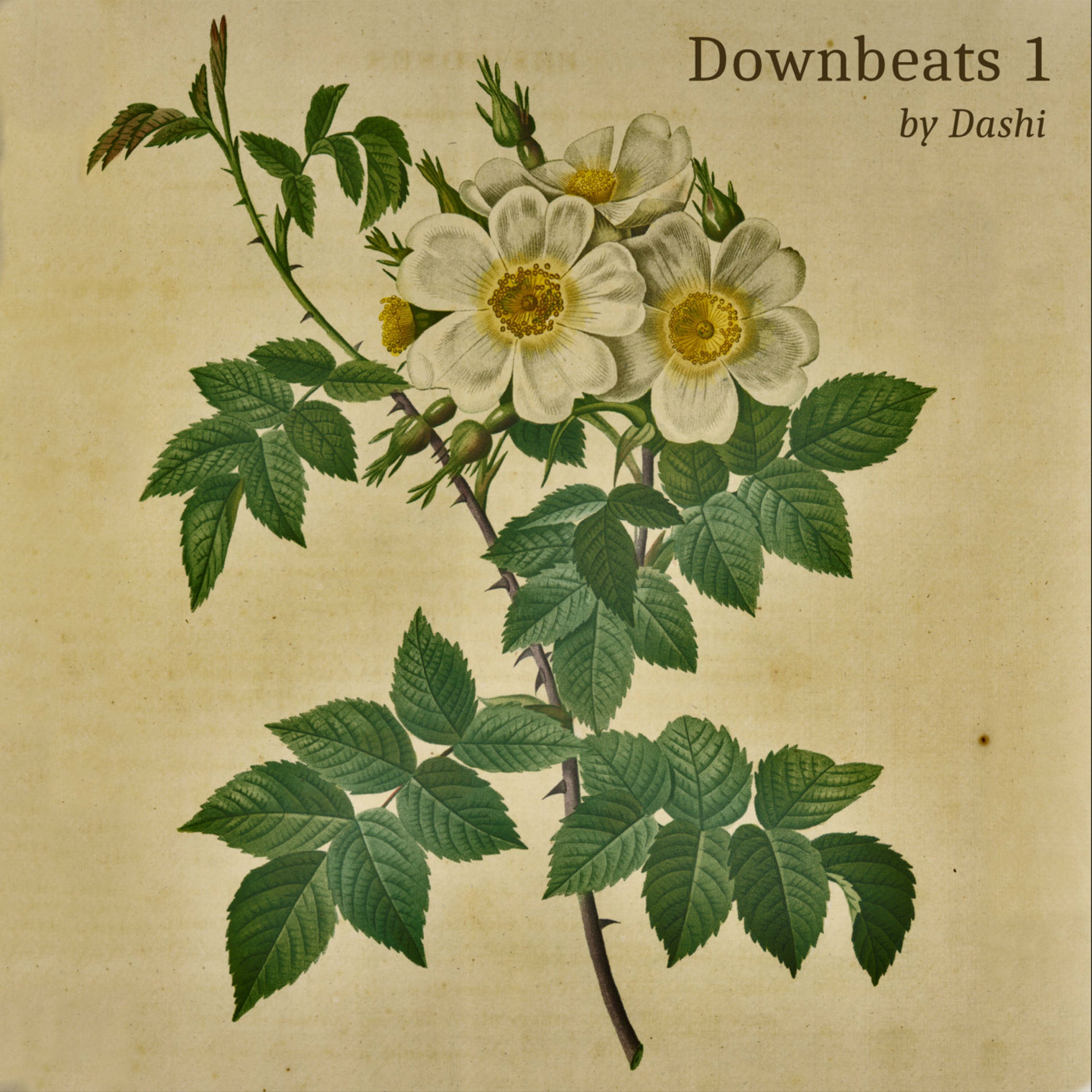 Album cover of Downbeats 1