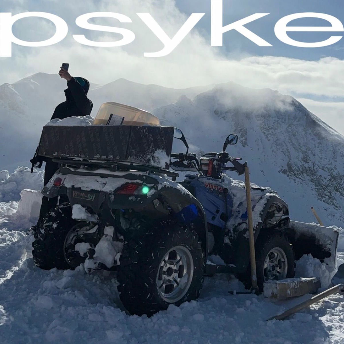 Album cover of Die Auslöschung