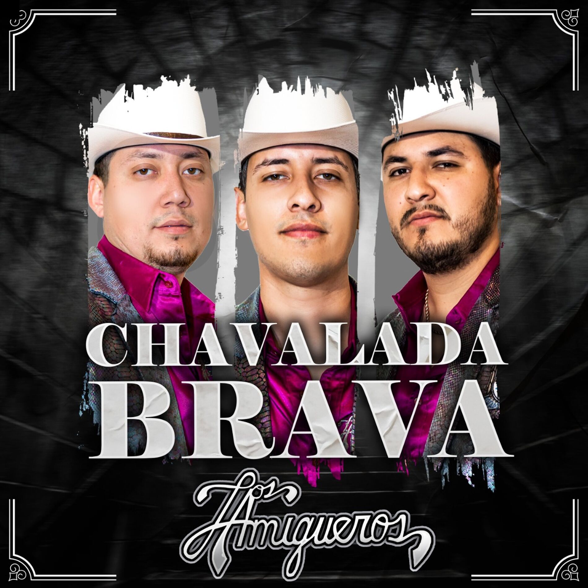 Album cover of Chavalada Brava
