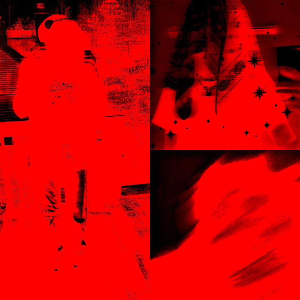 trash cover
